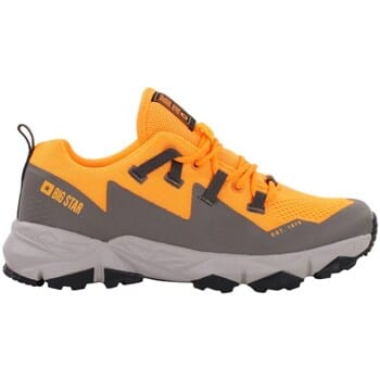 Lage Sneakers Big Star KK274210
