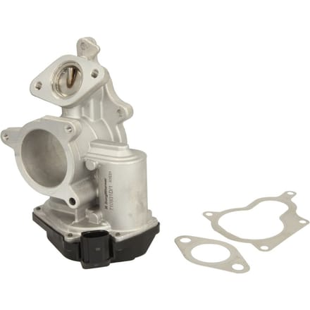 Borg Warner EGR-klep WAHLER WA710931D/1