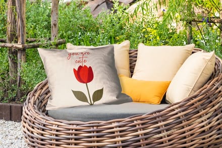 Buitenkussens - Tuin - Roos - Rood - Bloem - Valentijn - 50x30 cm
