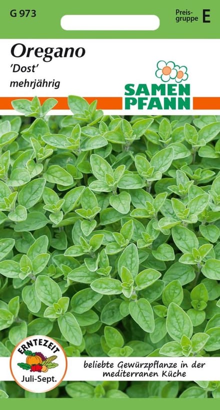 Oregano/Oregano - Kruidenzaden Specerijenzaden