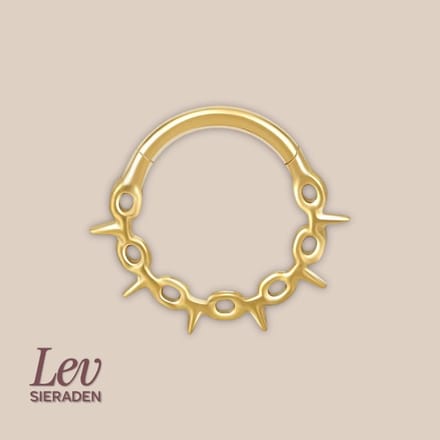 Lev Sieraden - Titanium premium neus ring - gouden prikkeldraad segment ring - 1.2x8mm - Goud - segment ring - neuspiercing - tragus piercing - Oorpiercing