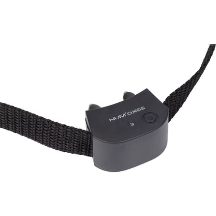 Anti-oploop hondenhalsband Num'axes Canifugue Small