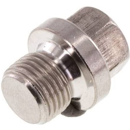 Plug G1/8'' RVS met Kraag En Buitenzeskant 40bar [2 Stuks]