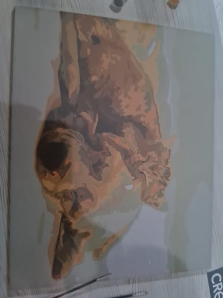 Crelando Schilderen op nummer Slapend hondje en poes 40x50cm