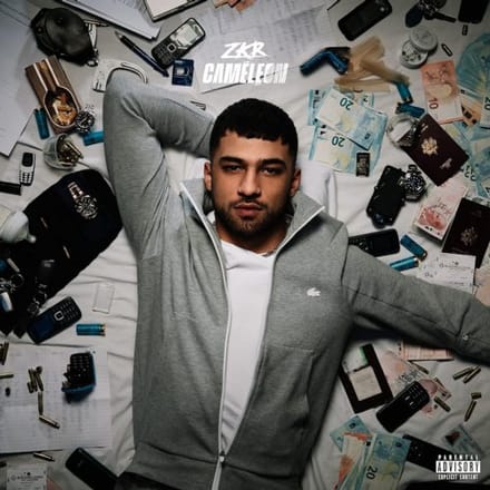 ZKR - Caméléon