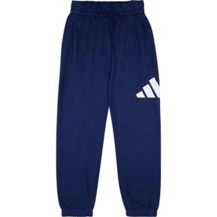 Adidas Essentials Big Logo Joggers Blauw 7-8 Years Kinderen