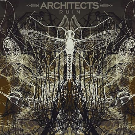 Architects - Ruin (LP)