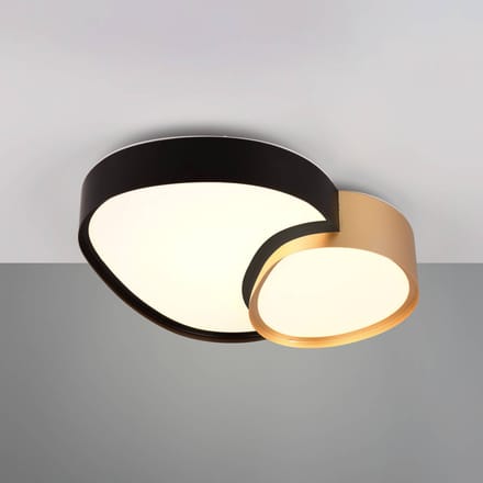 TRIO RISE - Plafondlamp - Zwart goud - incl. 1x SMD 21W - Geintergreerde dimmer - Memory functie - Lichtkleur instelbaar