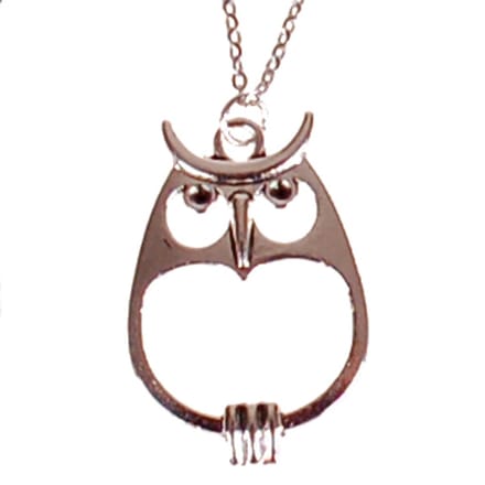 Ketting RVS 55cm - Hangertje Uil Zilverkleurig 3,5x2cm