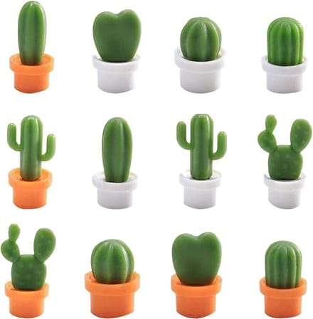 Solidchoice - Set van 12 Koelkastmagneten in Cactusbal Vorm