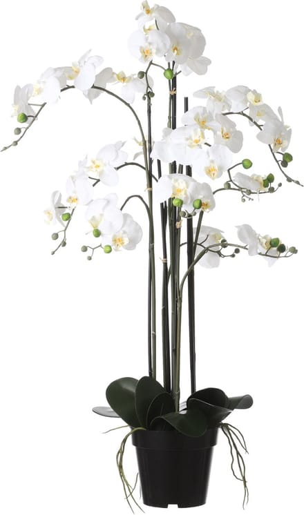 Mica Decorations Orchidee bloem kunstplant - parel wit - H97 x B19 cm