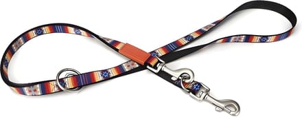 Beeztees Huvos - Hondenriem - Multi - 200 cm x 20 mm