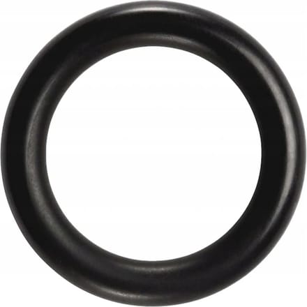 Saeco O-ring Van doseer inrichting DM=10mm SUP0310R 996530059441