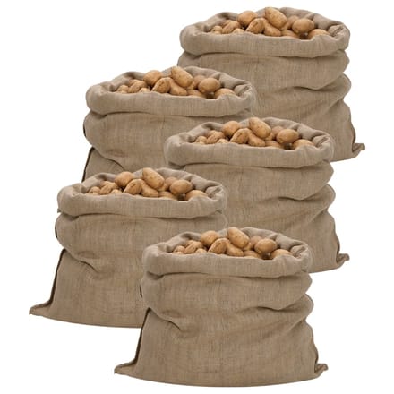 vidaXL - Jutezakken - 5 - stuks - 340 - g/m² - 100x110 - cm - 100% - jute