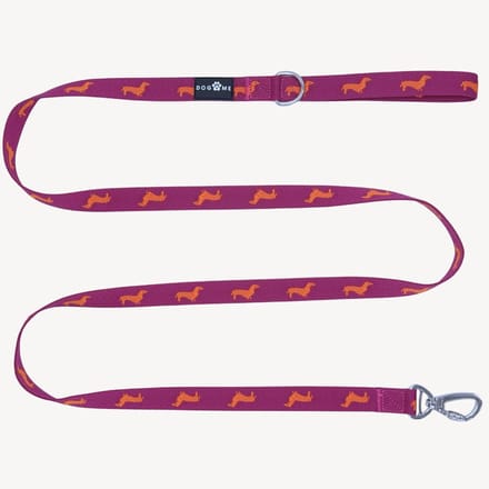 Teckels - Hondenriem - M- 2,5 cm breed - 2 m / 2 meter / 200 cm lang - Leiband hond