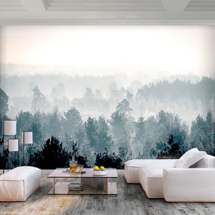 392cm X 280cm - Zelfklevend fotobehang -   Winter bos , Premium Print