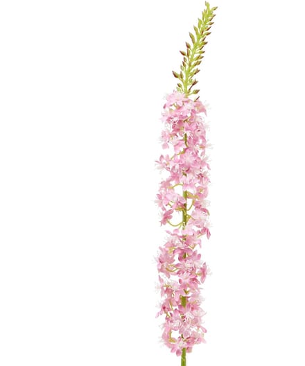 Desert Tail Tap Kaars Roze 106cm