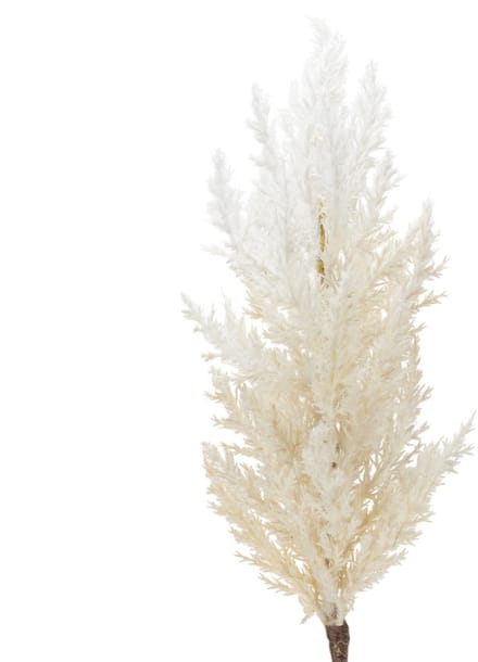 Wit pampasgras, kunstmatig gedroogd gras, kunstplanten