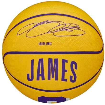 Mini Bal Wilson NBA Lebron James