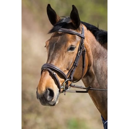 Rijhoofdstellen HFI Elegant
