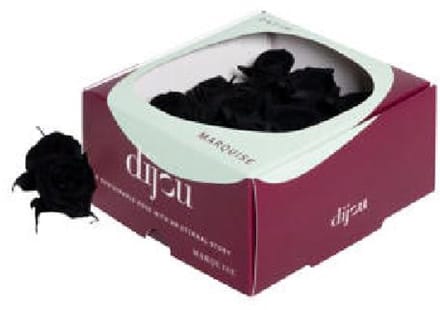 9x Dc pres.rozen black 0006c