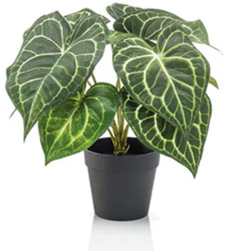 Emerald - Kunstplant in pot Anthurium 23cm - Kunstplant voor binnen