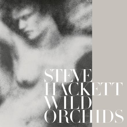 Hackett, Steve LP - Wild orchids - voor Geen - standaard