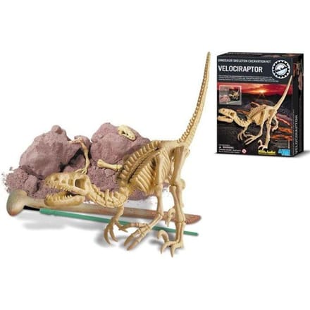 4M Graaf Je Dino Op - Velociraptor - Opgraafkit En Modelbouw Skelet - KidzLabs - 8 Jaar