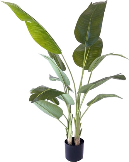 NeverLeafs Kunstplant Strelitzia real touch - 200 cm