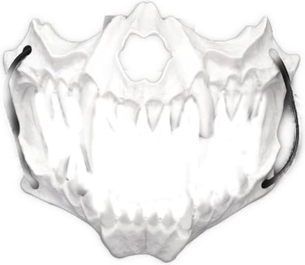 BamBella ® - Halloween Masker Skull verkleden feest festival carnaval makers