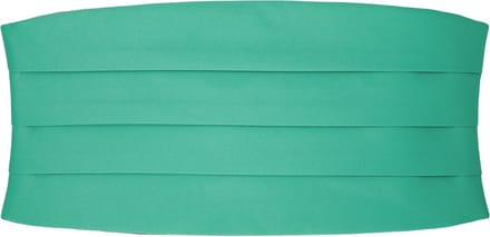 Eenvoudige Turquoisegroene Cumberband