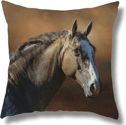 Sierkussen Paard Cadeau Paardenmeisje, 45 x 45 cm.