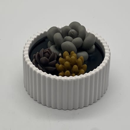 Kaars in glazen pot - cactus collectie - 789