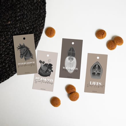 Cadeaulabels Sinterklaas | Set 16 stuks | 47x90 mm | Sinterklaasfeest | Inpakken | Illustraties