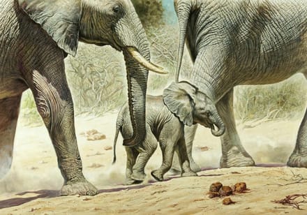 Kunstdruk Renato Casaro - Go Baby Go 100x70cm