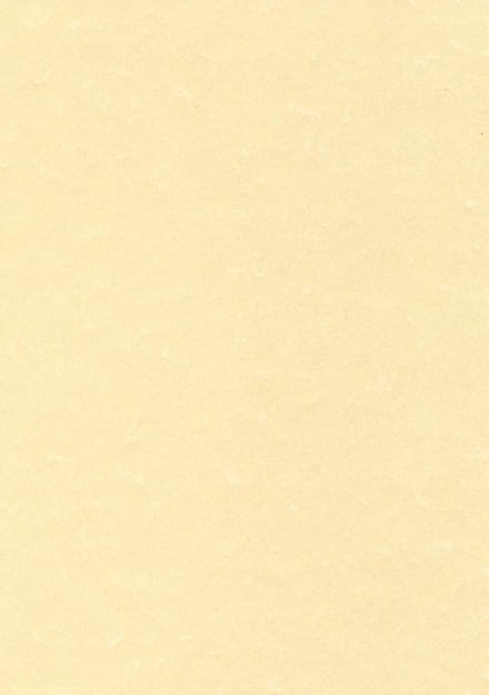 THEMA A4 CHAMPAGNE 165G 50V