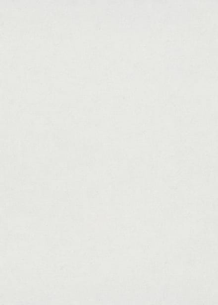 Erismann Vinylbehang 10430-01 - Gentle - Wit - 53cm x 10.05m