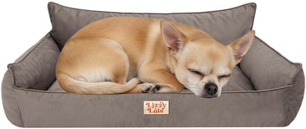 Lizzy & Lola – Hondenbed - Hondenmand - Puffy S - Taupe – 65 x 50 cm