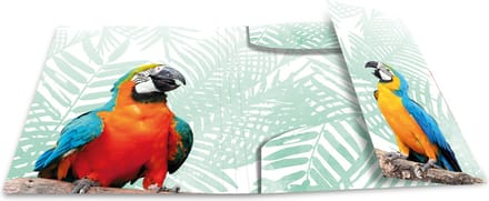 Elastomappen A4 PP Kliek tropische vogels