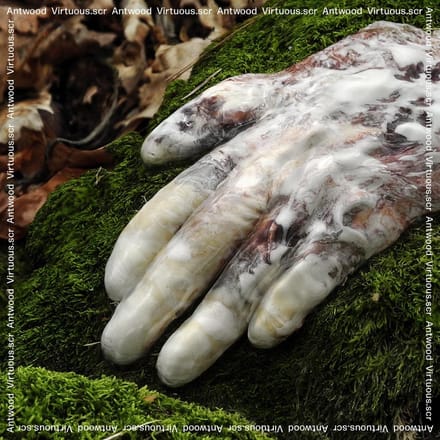Antwood - Virtuous Scr (CD)