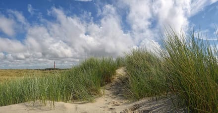 Fotobehang vuurtoren van Ameland 450 x 260 cm - € 295,--