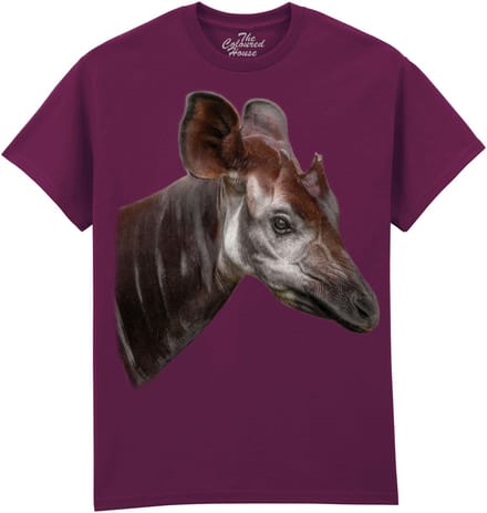 The Elusive Okapi The Coloured House T-shirt M