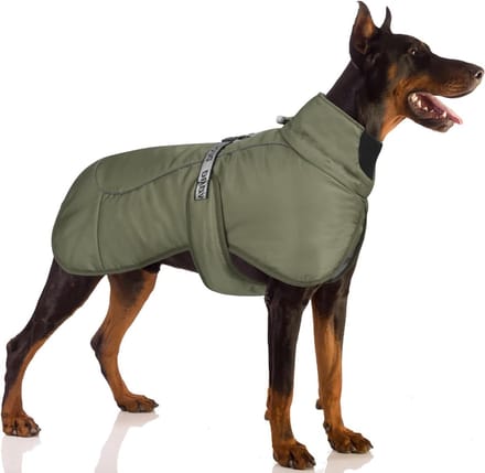 Winter Hondenjas - Warme Hondenkleding - Buitenavonturen - Reflecterende Strips - Verstelbaar - Groen