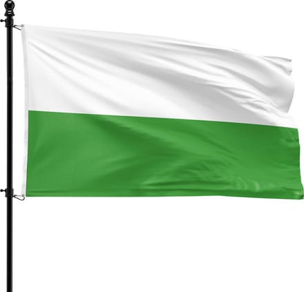 VlagDirect - Ridderkerk vlag - Gemeente Ridderkerk vlag - 90 x 150 cm.