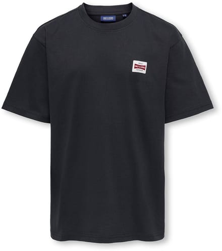 ONLY - OSJFRED relaxed fit t-shirt - Blauw - Maat 146-152