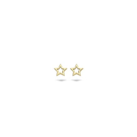 Blush Dames Oorbellen - Goud