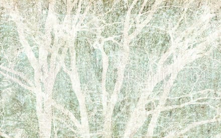 Fotobehang - Peaceful Place 400x250cm - Vliesbehang