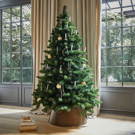 Kerstboom Bryndis