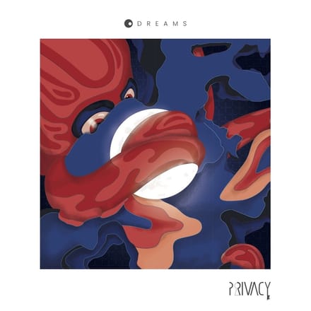 Privacy - Dreams (CD)