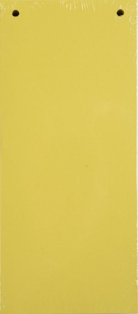Exacompta 12x FOREVER® Pak van 100 horizontale tabstroken met perforatie 180g - 105x240mm - Geel - 13425B